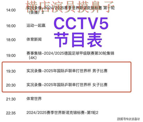 世界杯全球总决赛背景下的世界杯买球平台解析与玩法指南直播解析